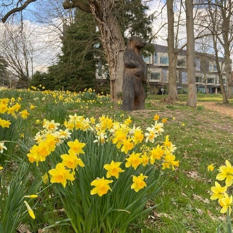 Campus spring view with Bear cropped
