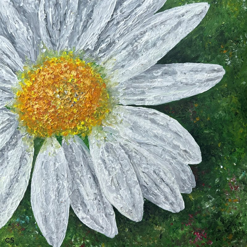 Cherry Seales Mural Painting - Oxeye Daisy_Cherry Seales (1)